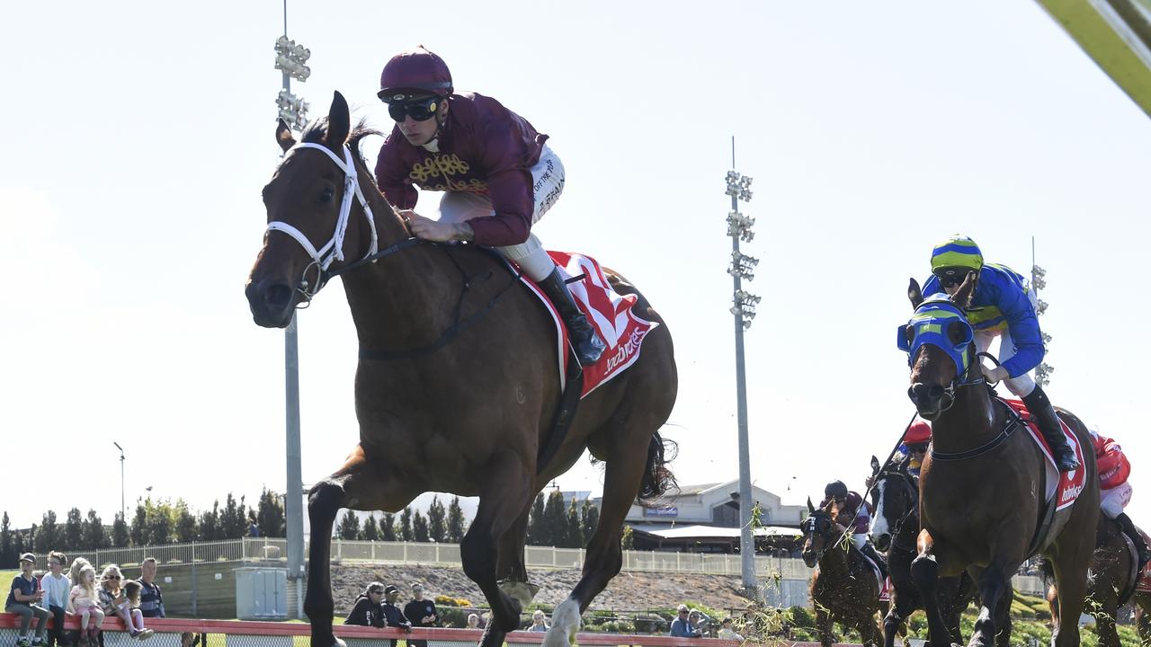 Pro Punter The Trackwalker's tips, analysis for VRC Oaks day