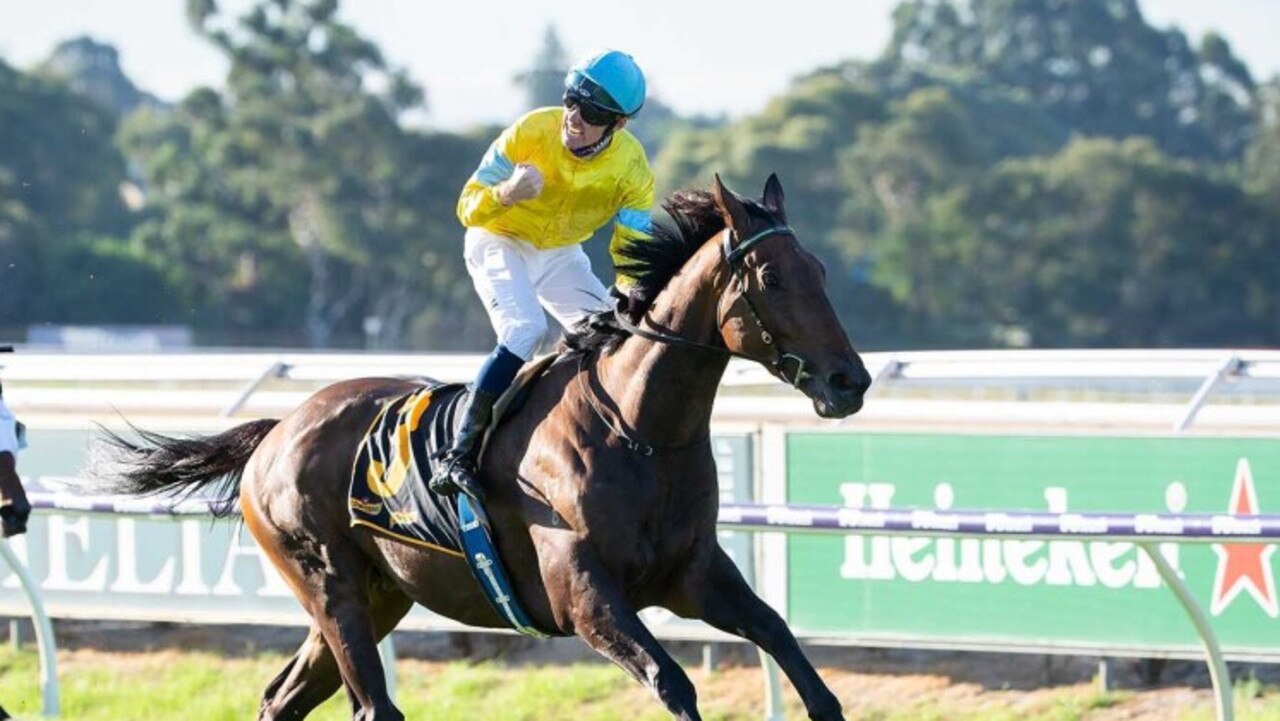 Group One Racing Sa Daniel Morton eyes Northerly Stakes after Group 1 near miss