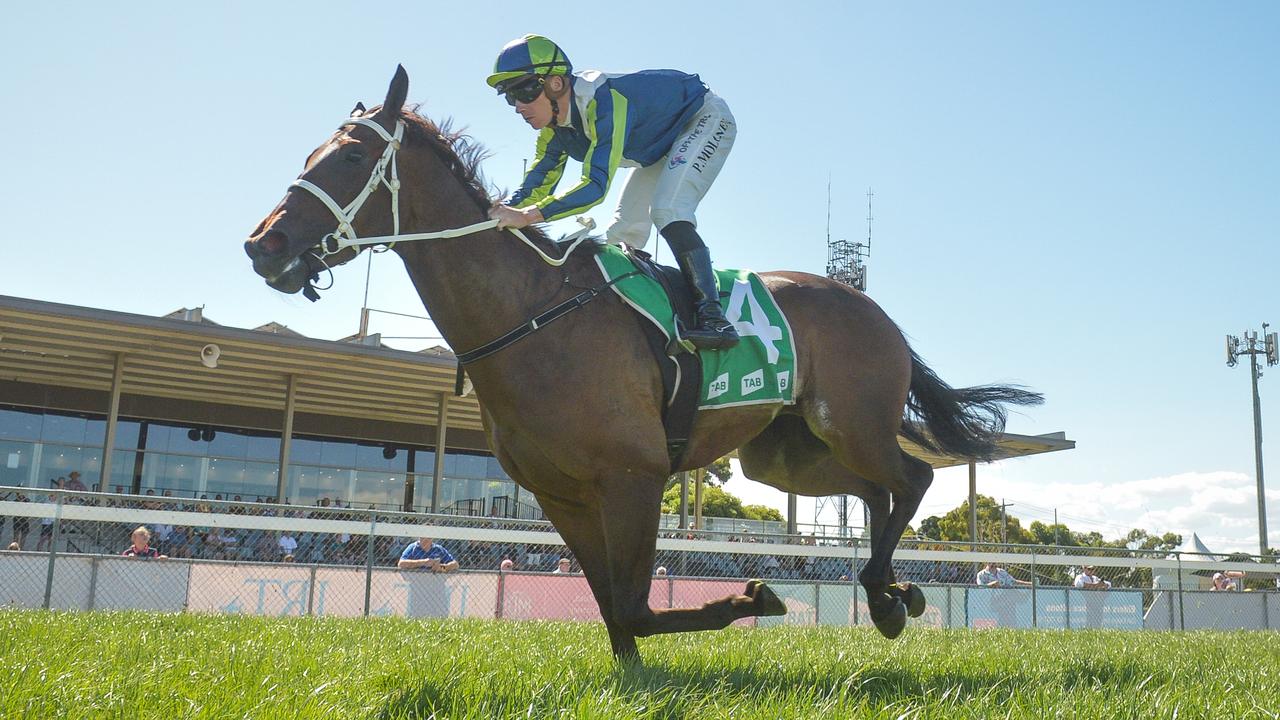 Horse racing tips: Moe best bets, preview for Wednesday February 8