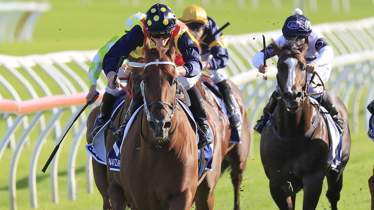 Jett Hatton predicts the winner of every Group 1 race in autumn