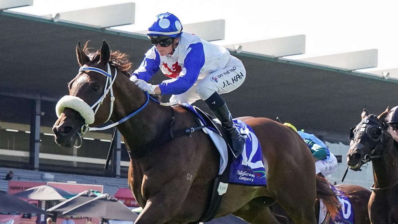 AllStar Mile Pounding to boost credentials in Blamey Stakes