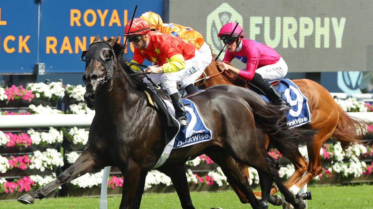 Artorius out to conquer Anamoe in George Ryder Stakes