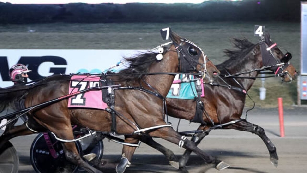 Star Australian pacer Lochinvar Art had a winning debut at Meadowlands. Picture: Courtesy of The Meadowlands