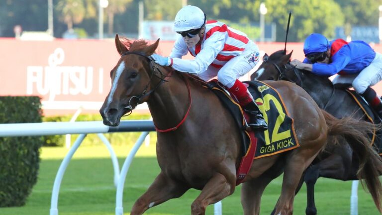 Australian sprinting star Giga Kick added the Doomben 10,000 to his impressive record on Saturday. Photo: Jeremy Ng/Getty Images.
