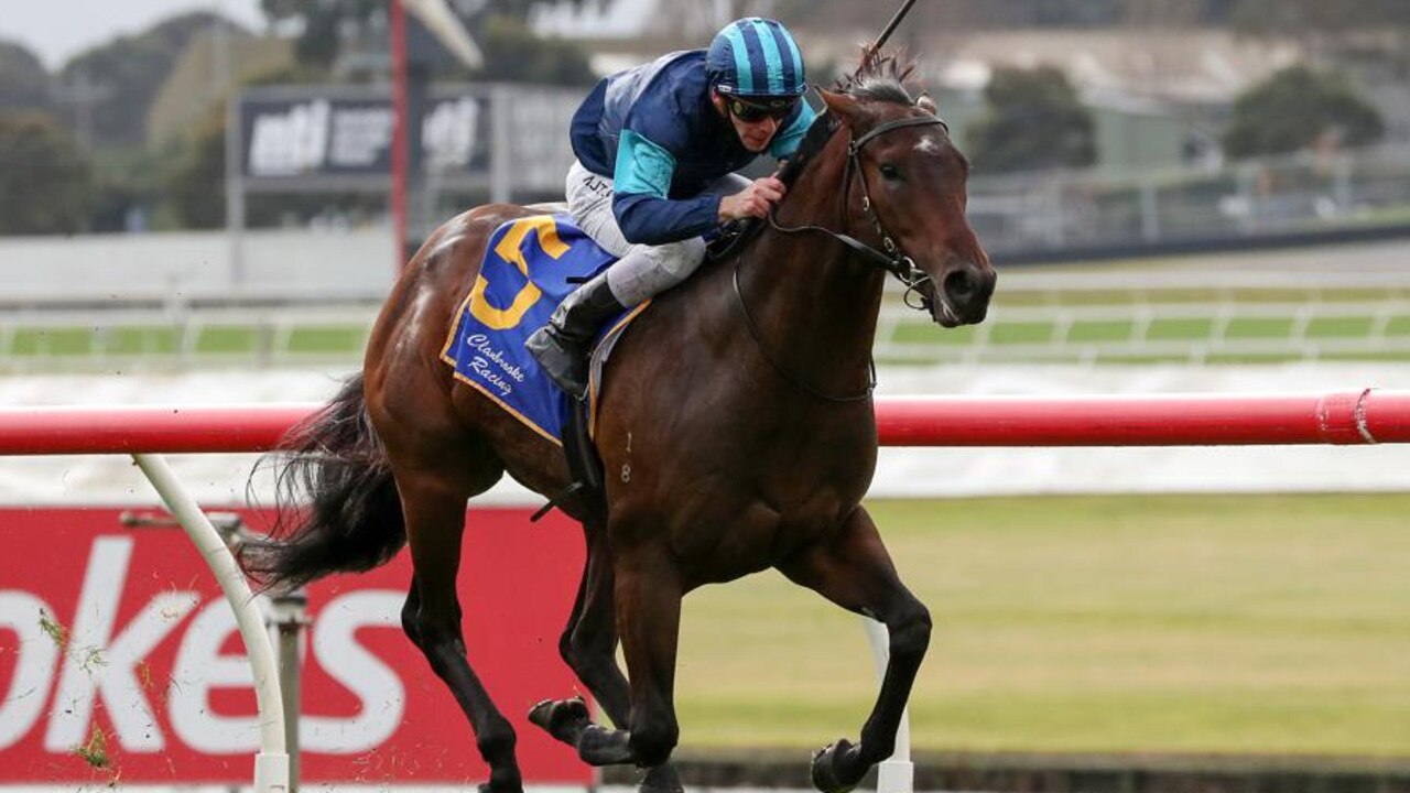 Pro punter The Guru's racebyrace preview for Flemington Saturday, June 3