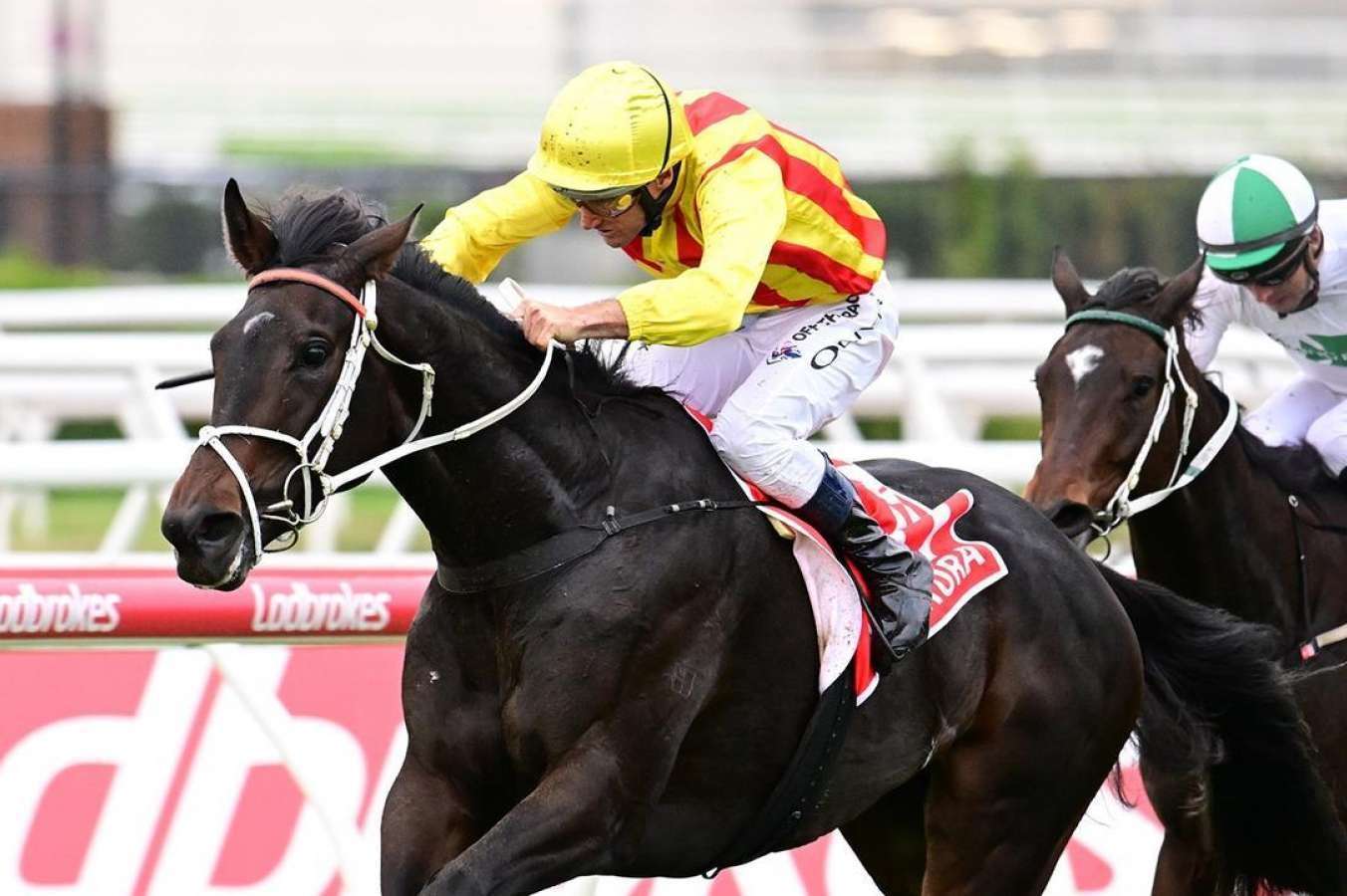 Queensland Oaks 2024 | Tips, Odds, Field & Results | Racenet