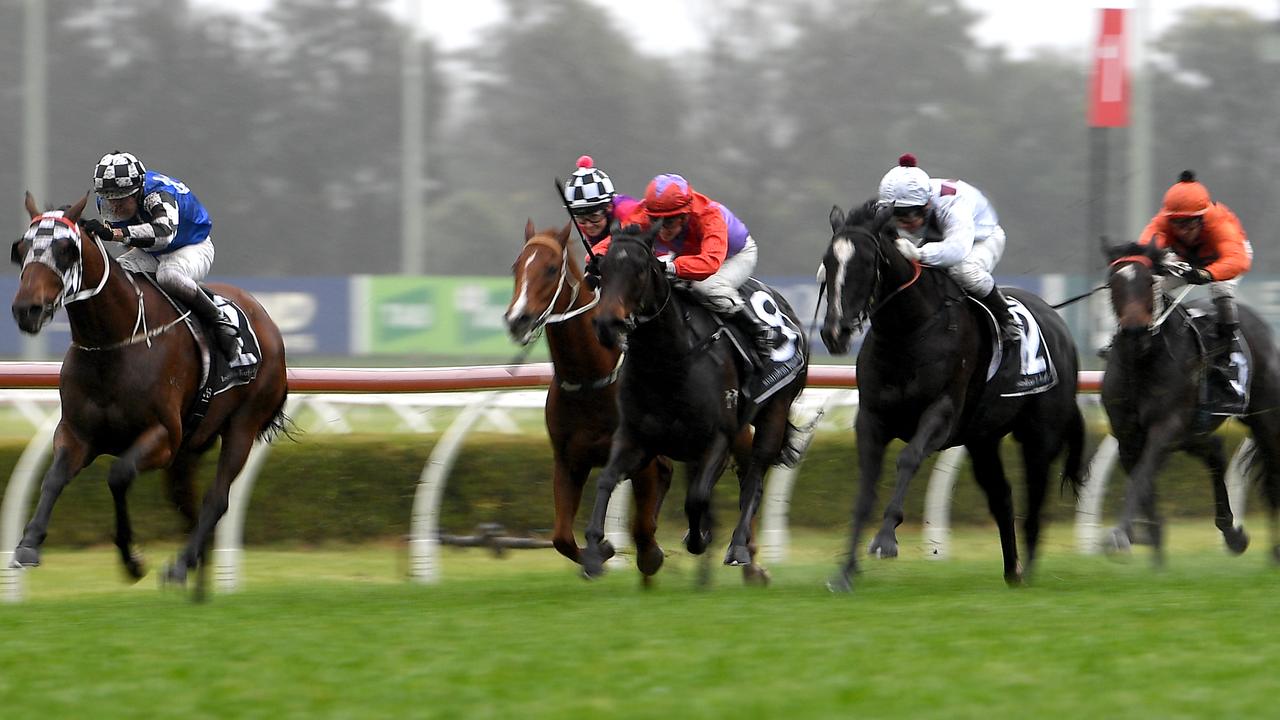 Tony Brassel's tips, analysis for Canterbury Wednesday