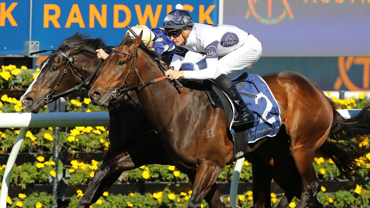 Dylan Gibbons takes lead in Sydney apprentice premiership