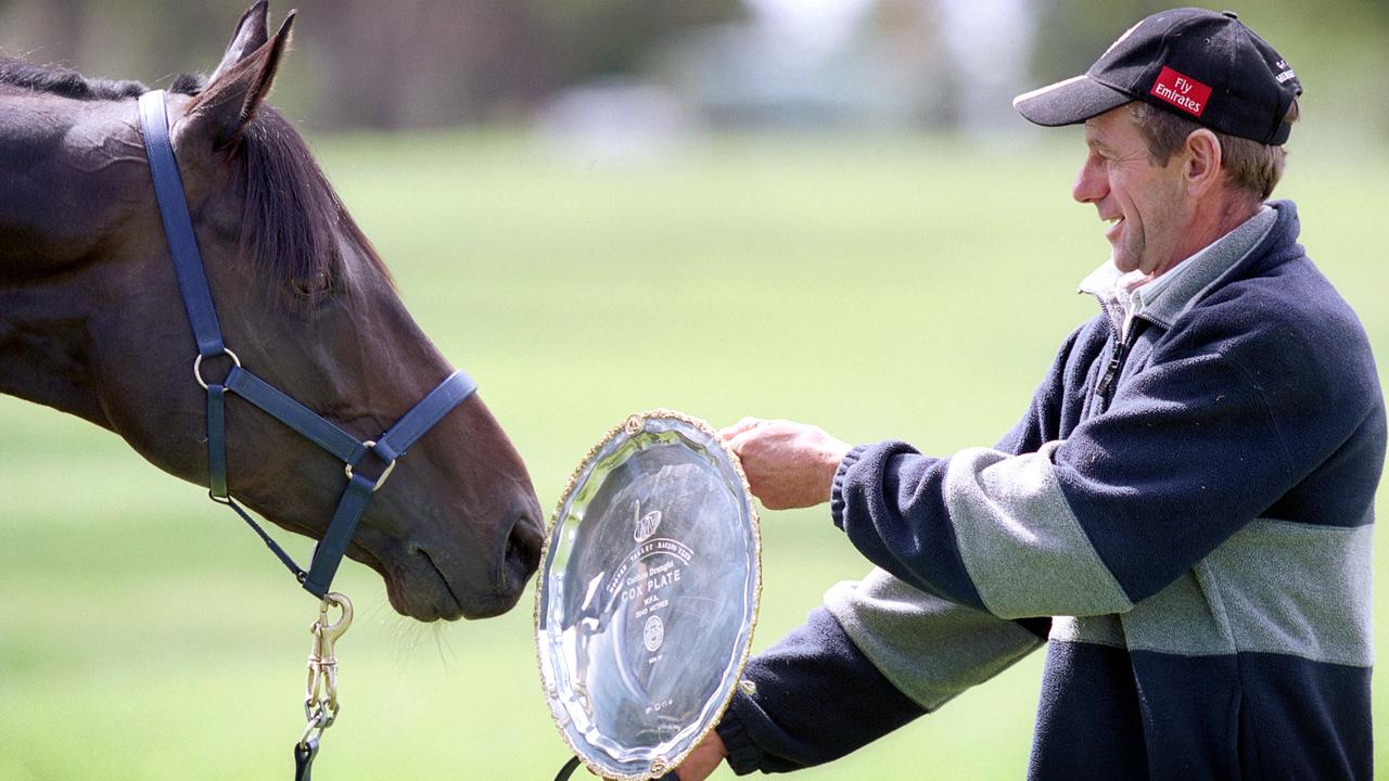 Kembla Grange preview Smart gelding Revelaide looks a classic type