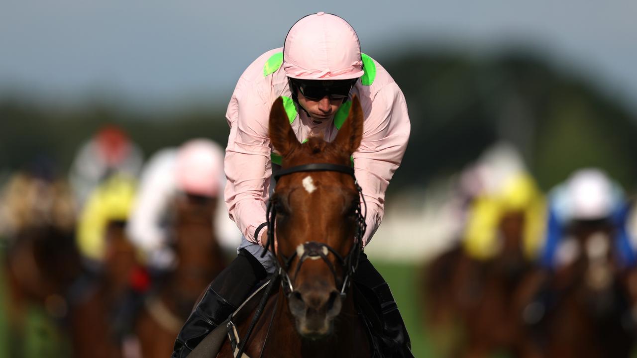 Ebor Handicap winner to get Melbourne Cup golden ticket