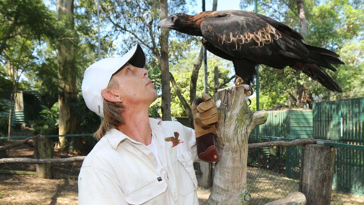 Birdman the saviour of new Gold Coast turf track