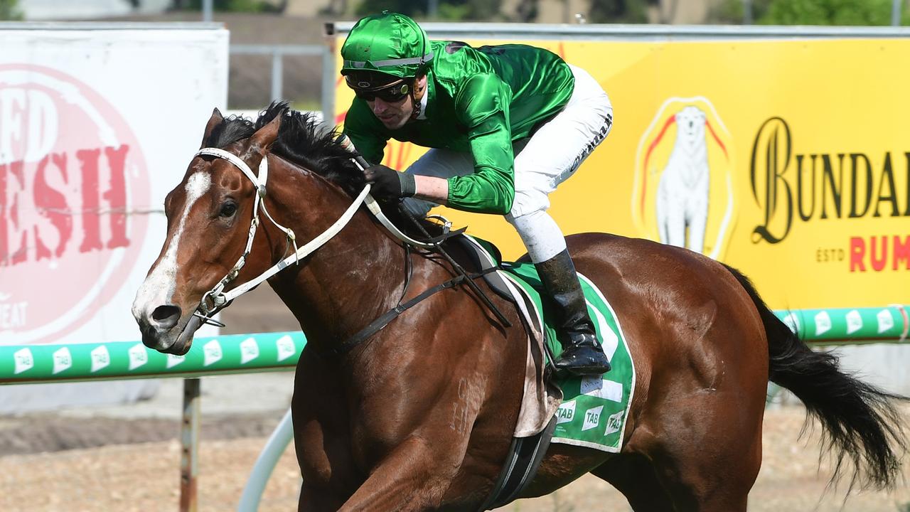 Far Too Easy set to run in The Kosciuszko firstup from a spell