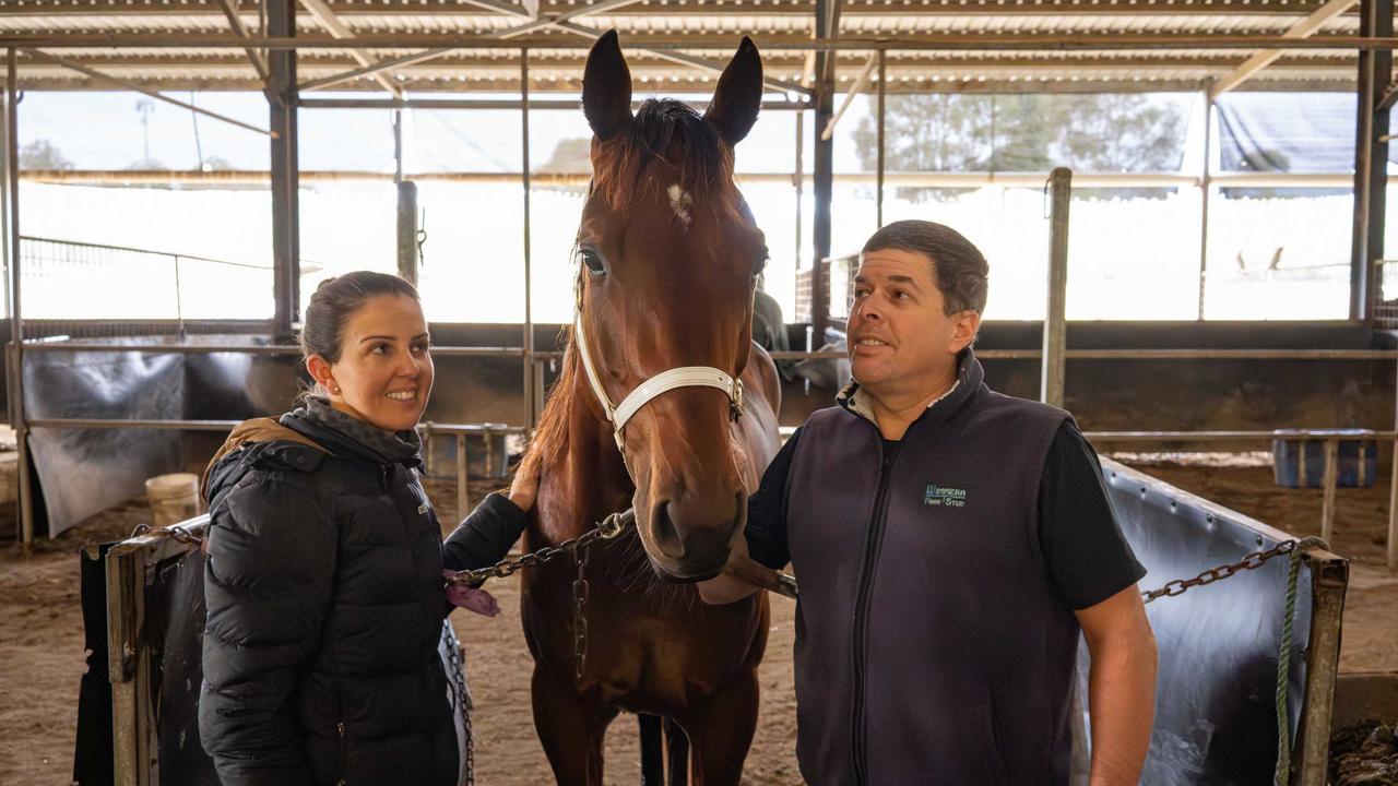 Haul of Fame The rise and rise of a racing superstar