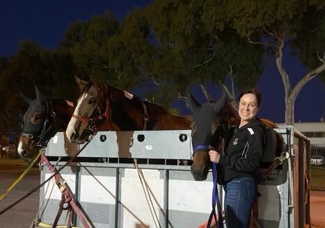 The sexiest horse in racing set to upstage all this spring