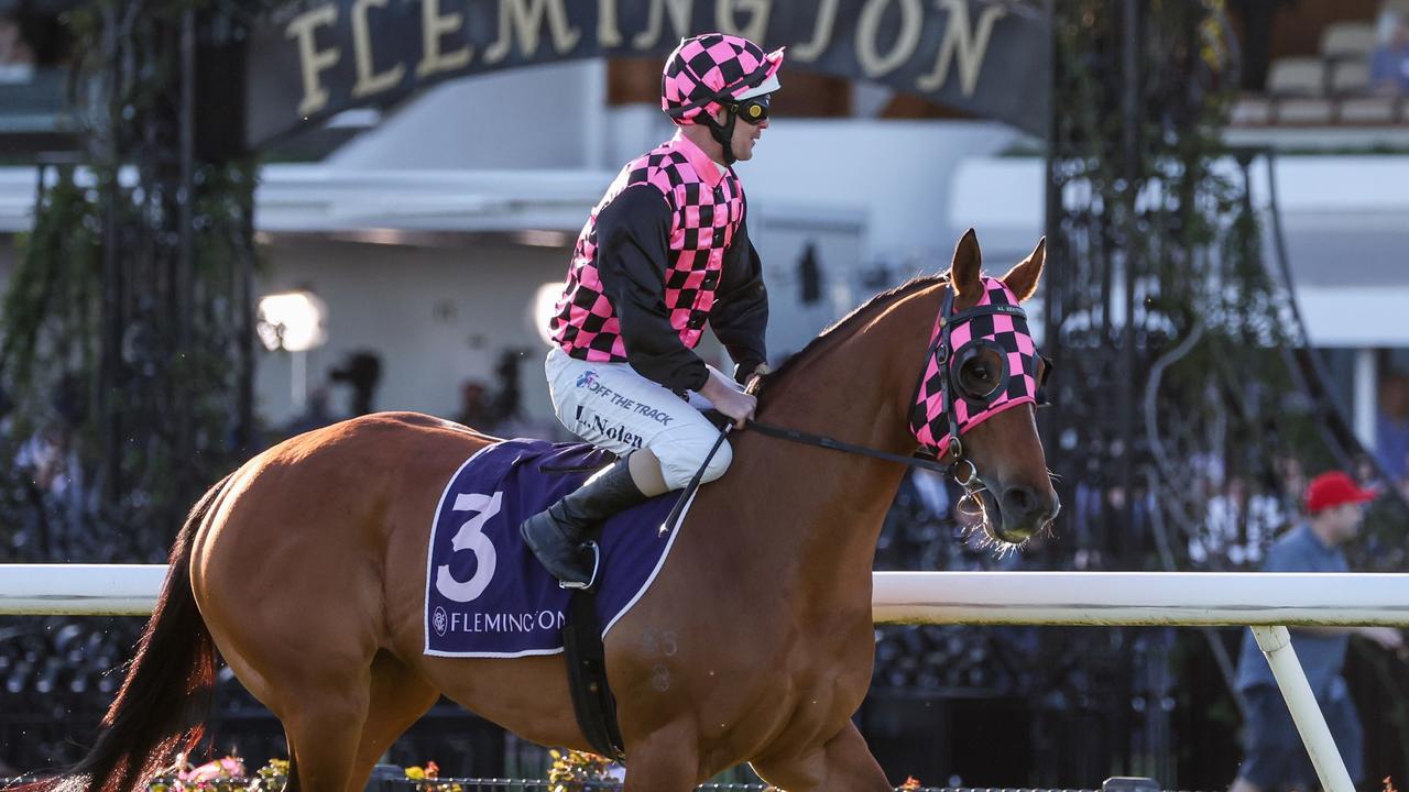 Princess Purdy Rob Heathcote concedes Startantes ‘can't beat' Princess Grace at Flemington
