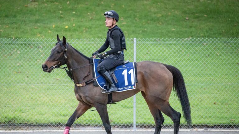 Alcohol Free is favourite to run in Yulong’s Everest slot. Picture: Darren Leigh Roberts