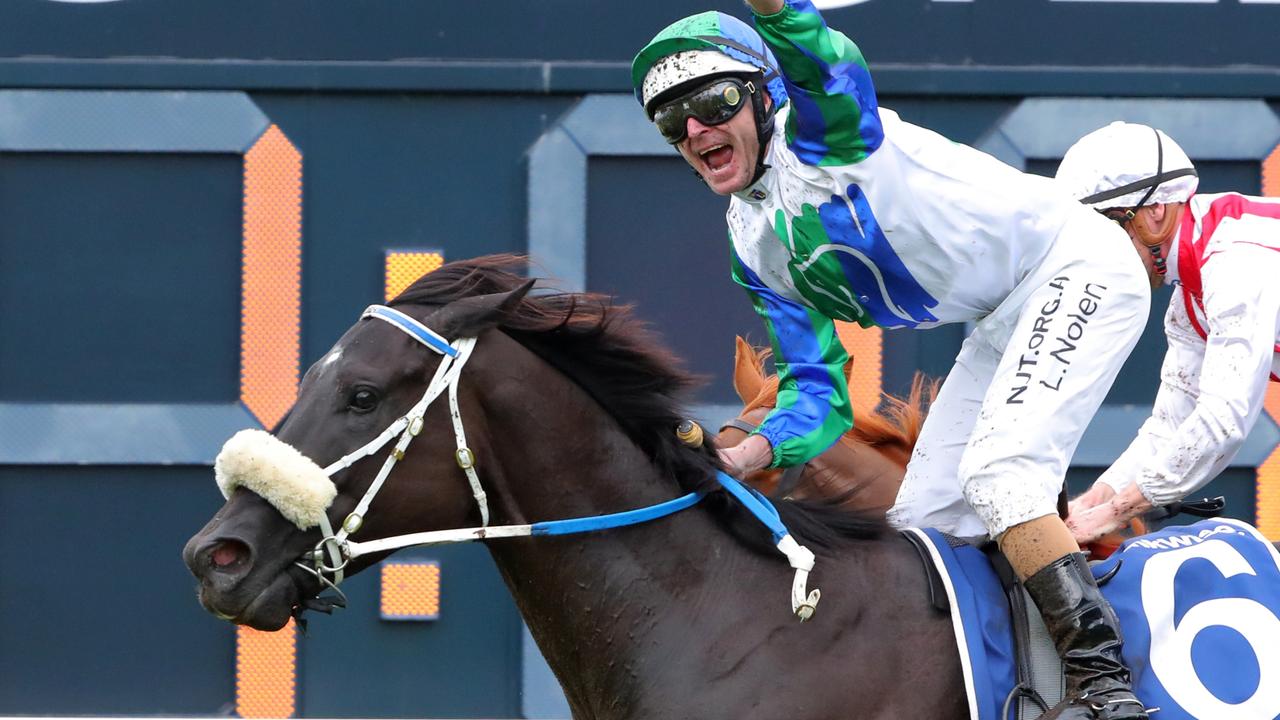 Horsham Greyhound Race Results - 05/05/2023 - Racenet