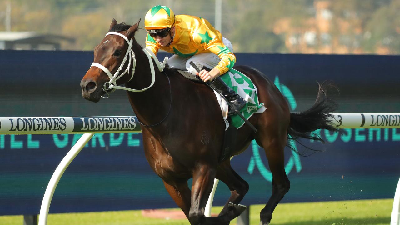 Spring Filly Spring Champion: Jason Collett confident filly can topple colts