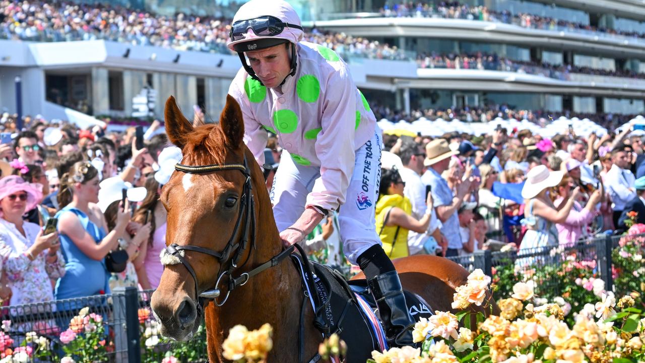 Serene 'heightened Risk Of Injury': Melbourne Cup Favourite Scratched Artwork Art Serene 'heightened Risk Of Injury': Melbourne Cup Favourite Scratched Artwork Art