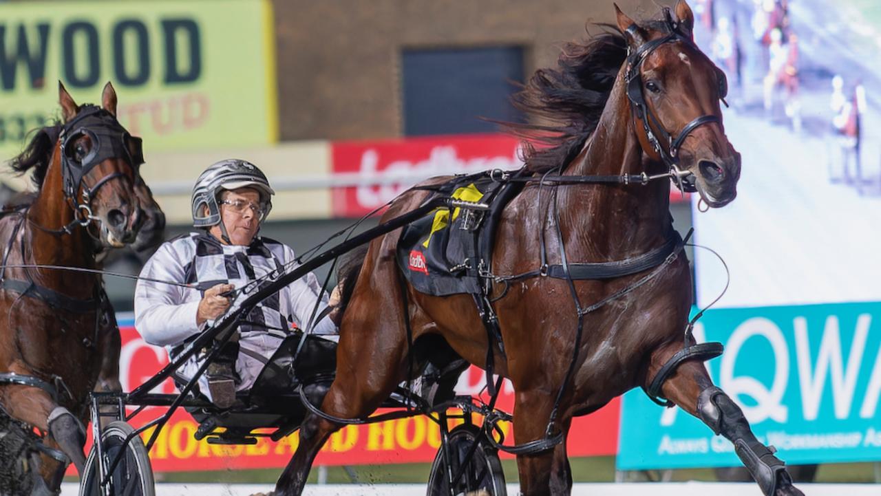 Two brightest stars shining at Melton when top pacer Leap To Fame and