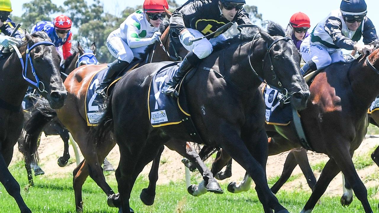 Best bets and expert tips for Wodonga on Thursday