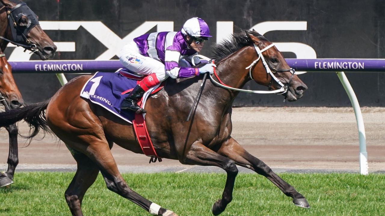 Riff Rocket is chasing history in Australian Guineas at Flemington
