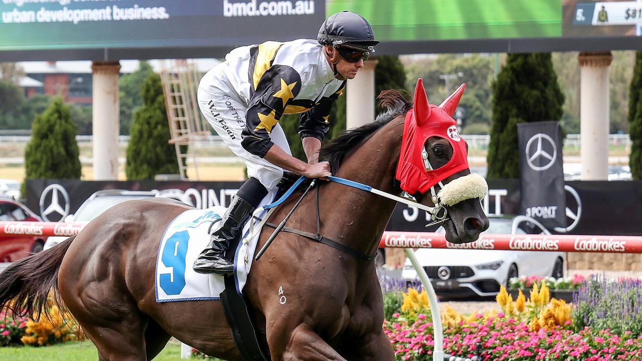 Bendigo Guineas favourite Roll On High will relish bigger track
