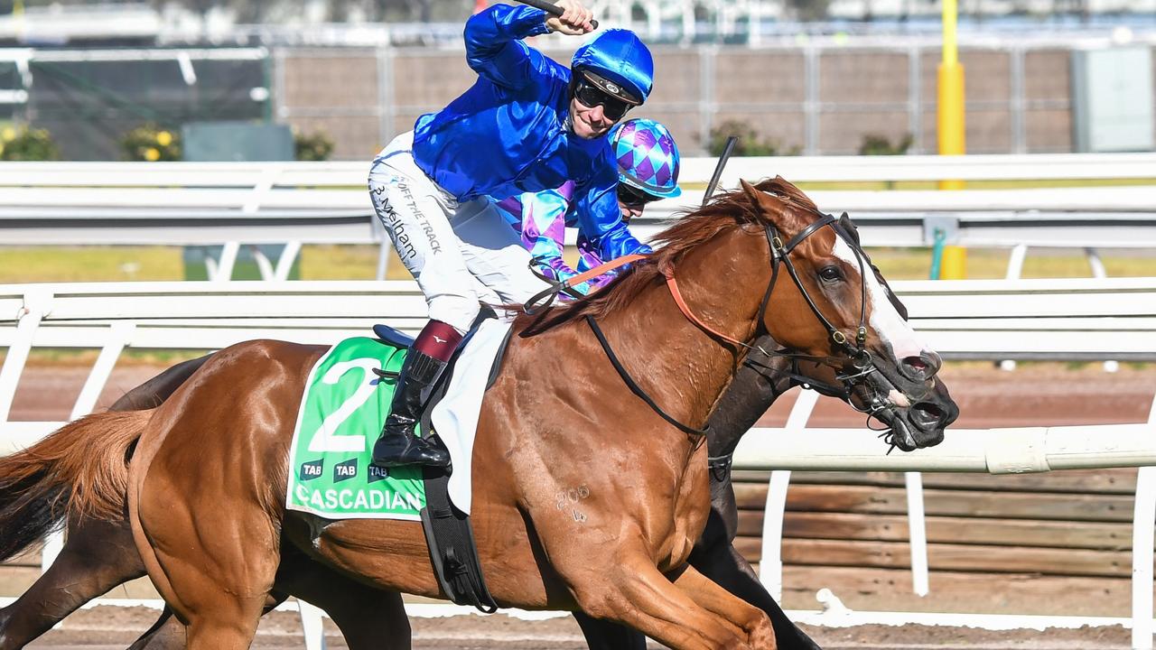 Godolphin Racing Godolphin star Cascadian has run his last race