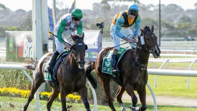 Blinkers or winkers - can either prove a profitable gear change? Photo: George Sal/Getty Images.