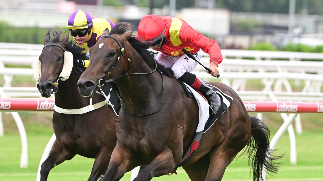 Expert tips from last week's Victorian racing jumpouts