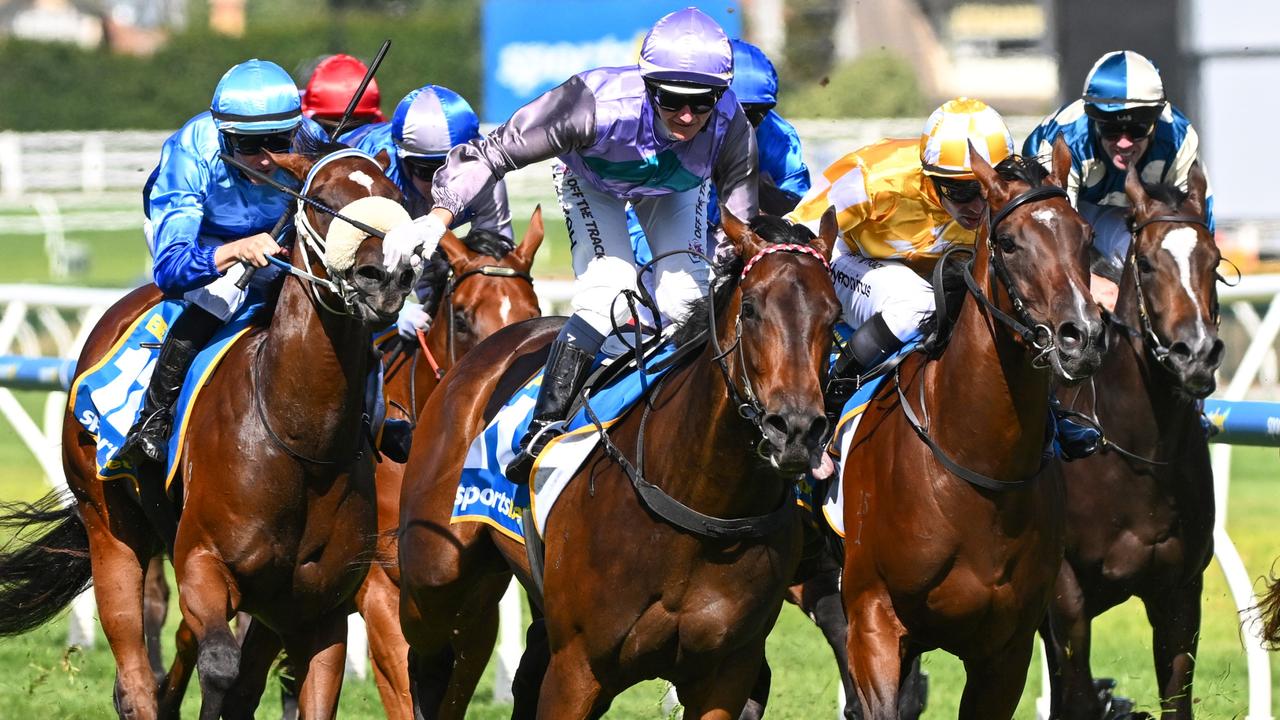 Clinton Mcdonald Racing Clinton McDonald aiming Blue Diamond winner Hayasugi at Group 1 spring ...