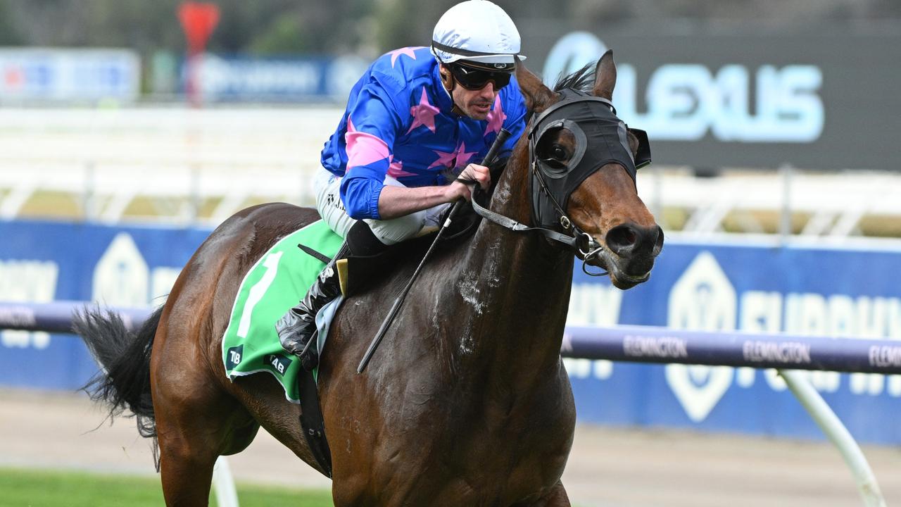 Detroit City emerges as Caulfield Guineas hope after Flemington romp