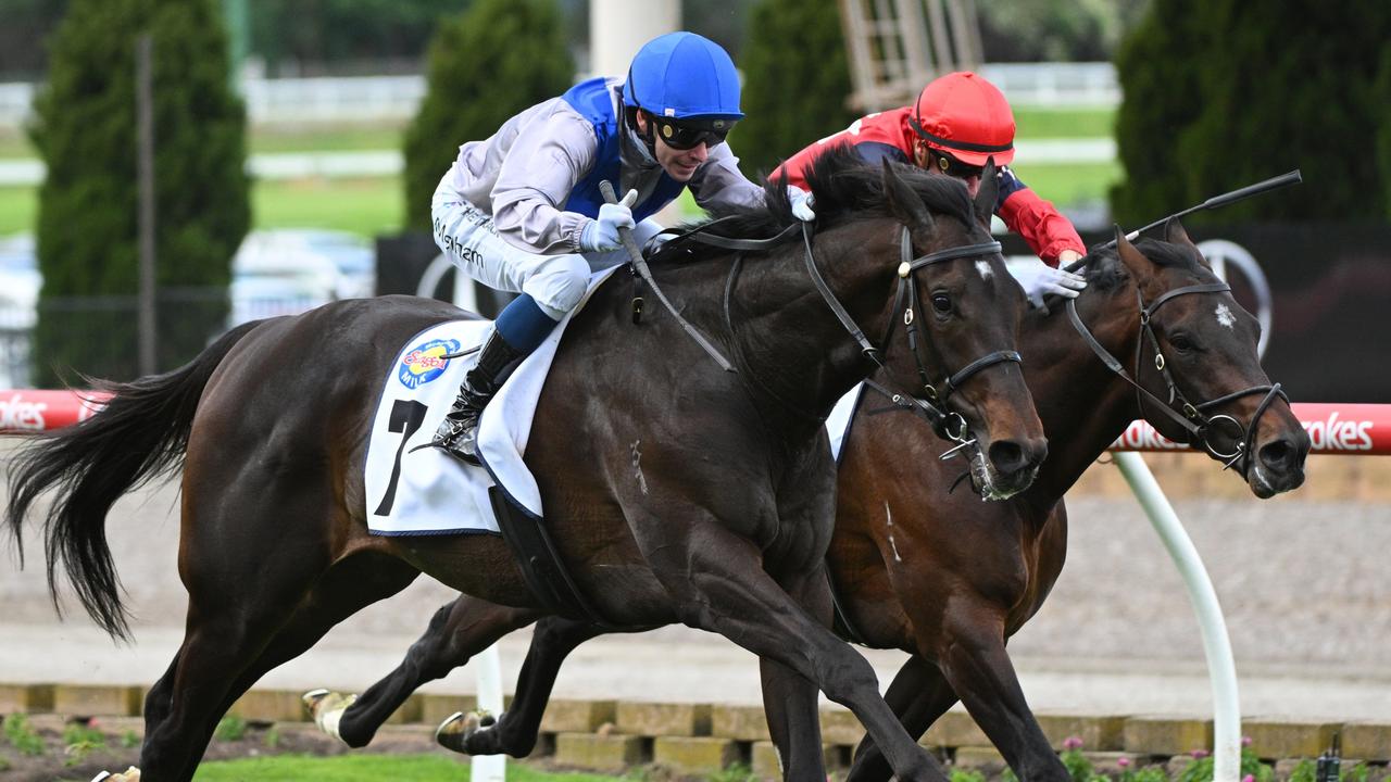 Clinton Mcdonald Racing Clinton McDonald has Caulfield Guineas aim with McKenzie Stakes winner ...