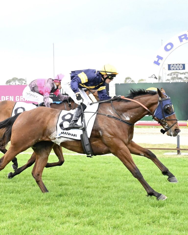 Horsham Cup 2025 Tips, Betting Results Racenet
