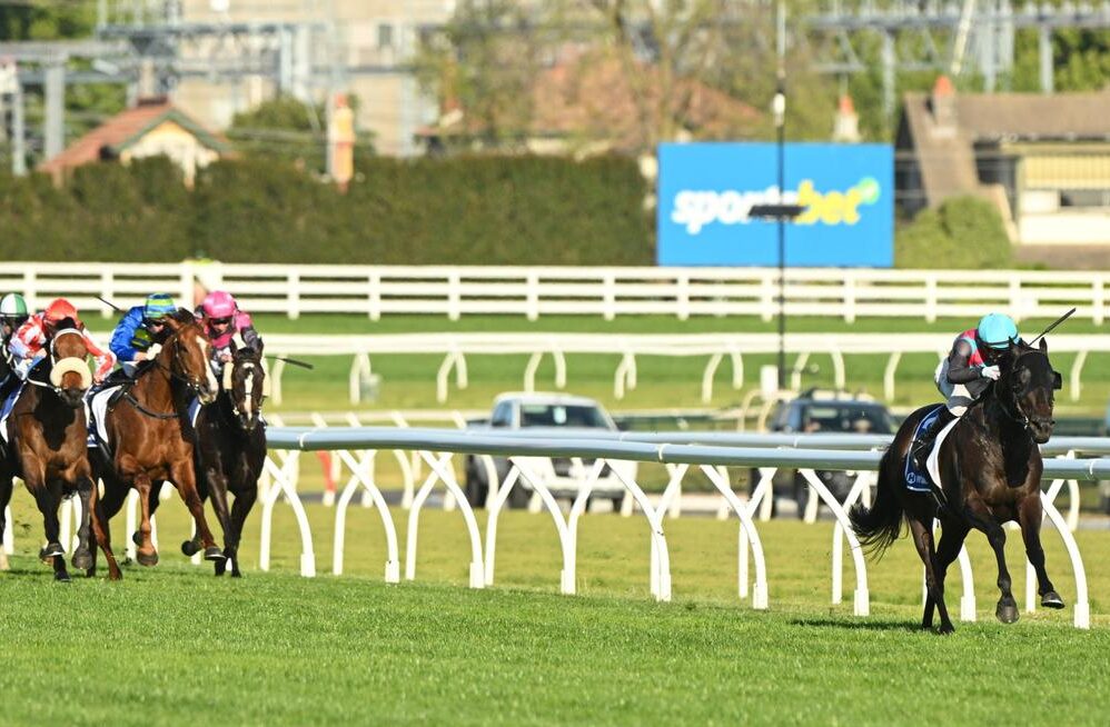 Gollan resists Cox Plate following Antino demolition
