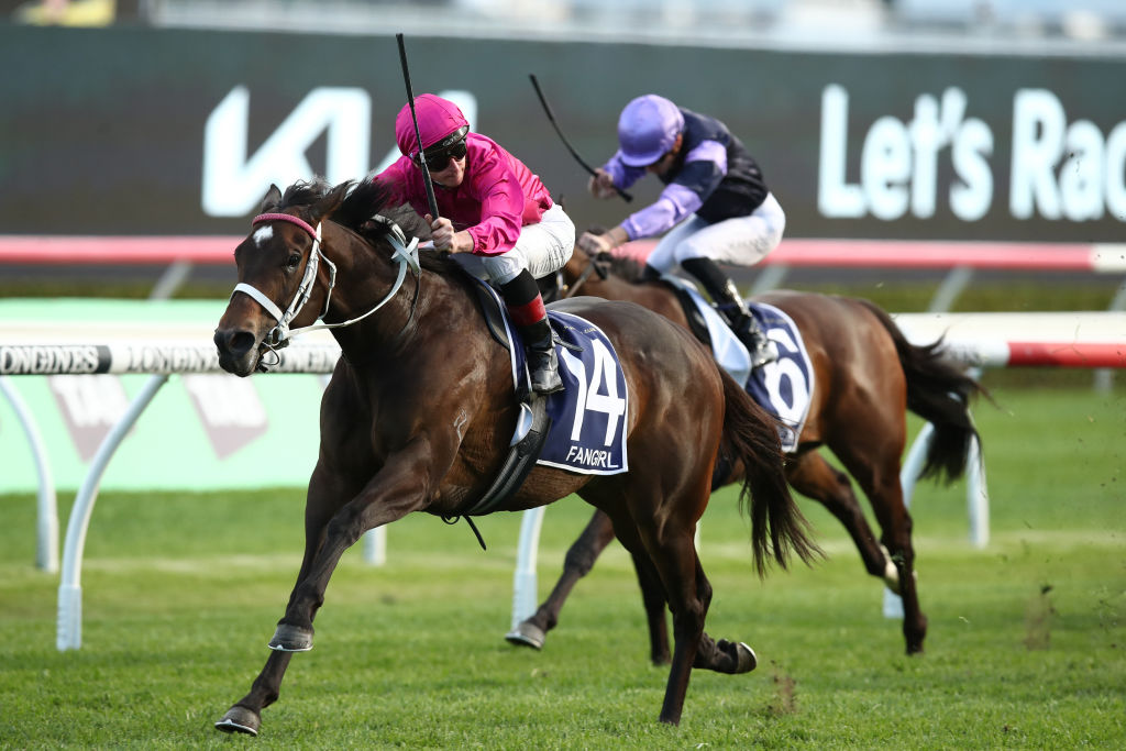 2024 King Charles III Stakes Field