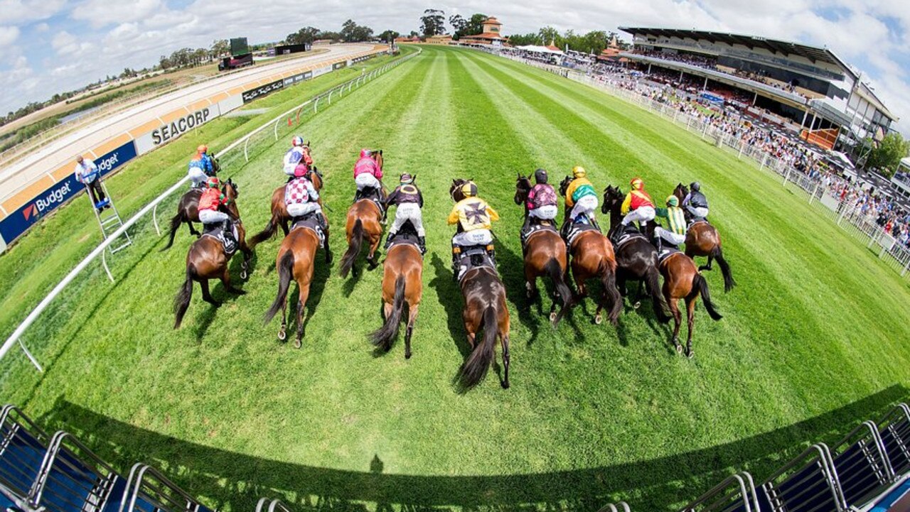 Group One Racing Sa Ascot and Morphettville tips: $9 best bet