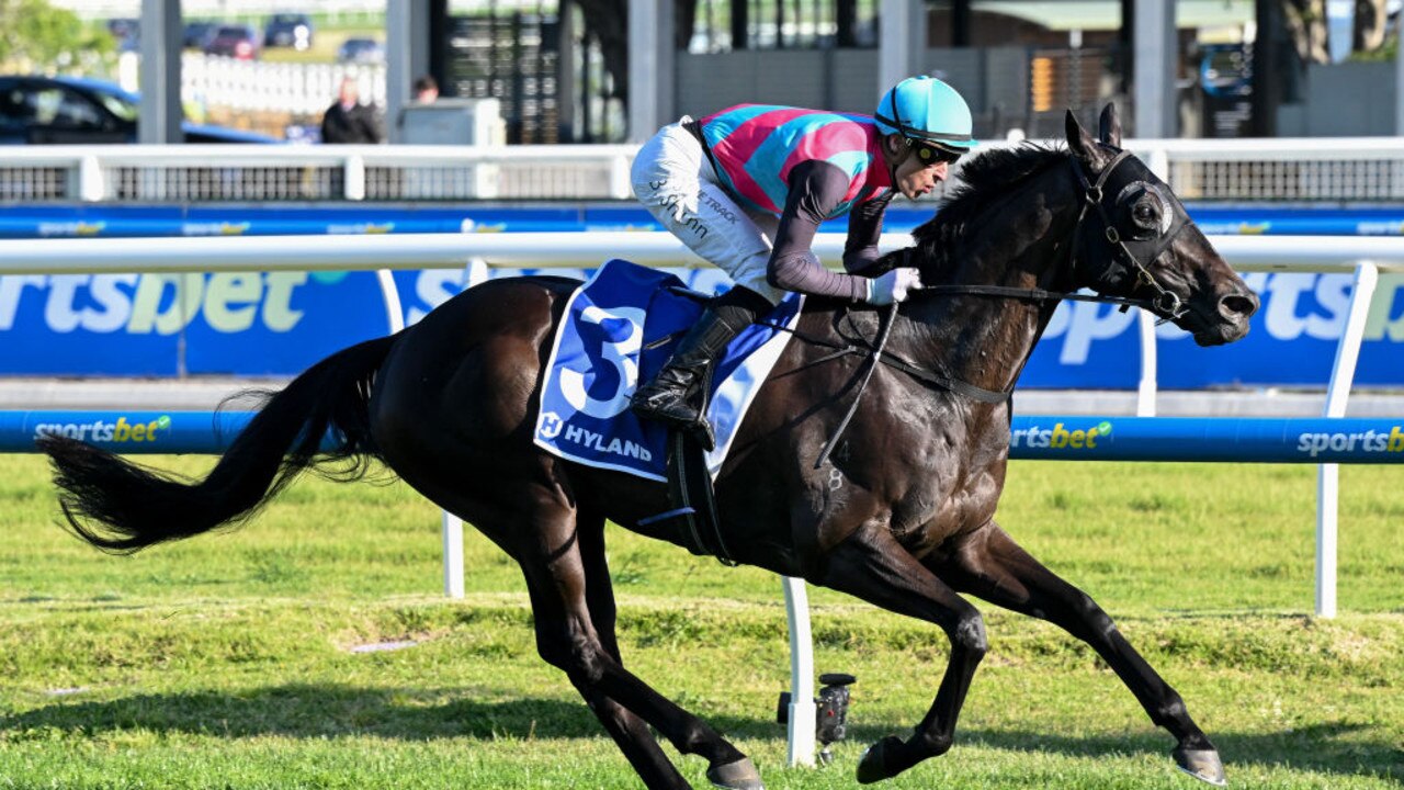 Blake Shinn leads Aussie charge on Antino in Hong Kong Mile