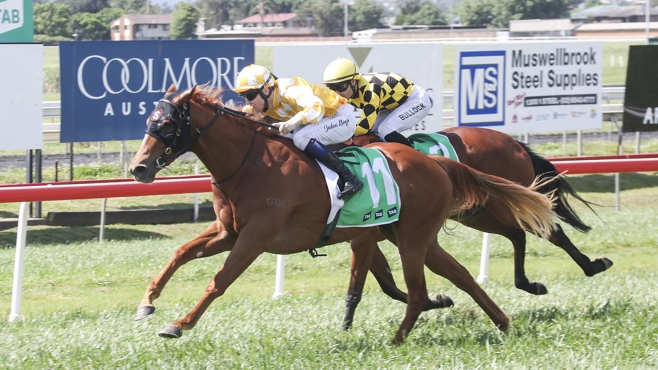 Sunshine Coast horse racing tips Sunday, January 5, 2025