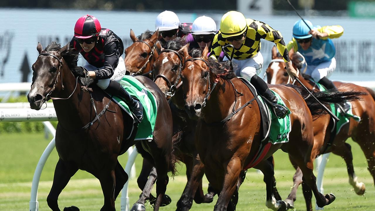 Highway victory leaves unbeaten mare Clear Thinking with $1m conundrum