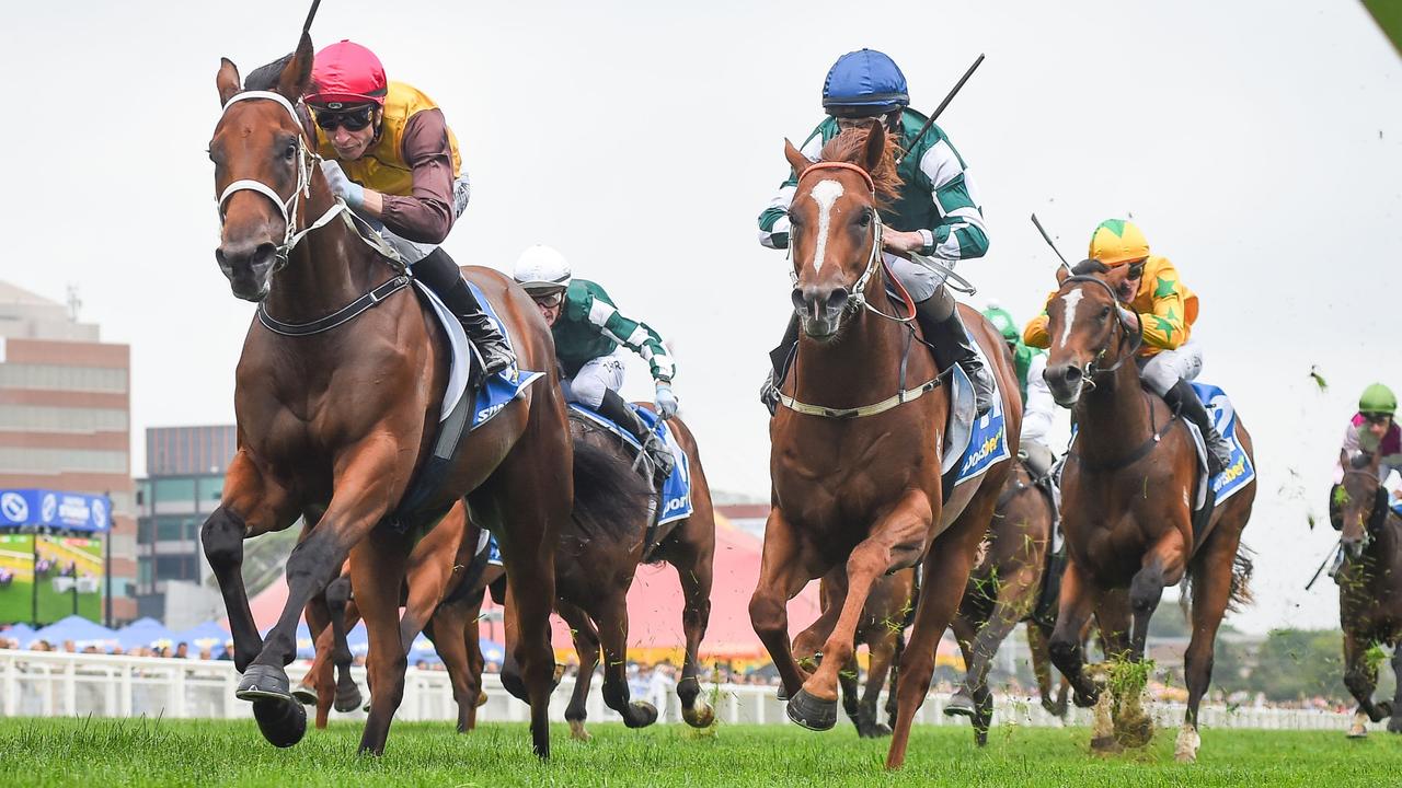 Blue Diamond Stakes runner-by-runner form analysis and tips