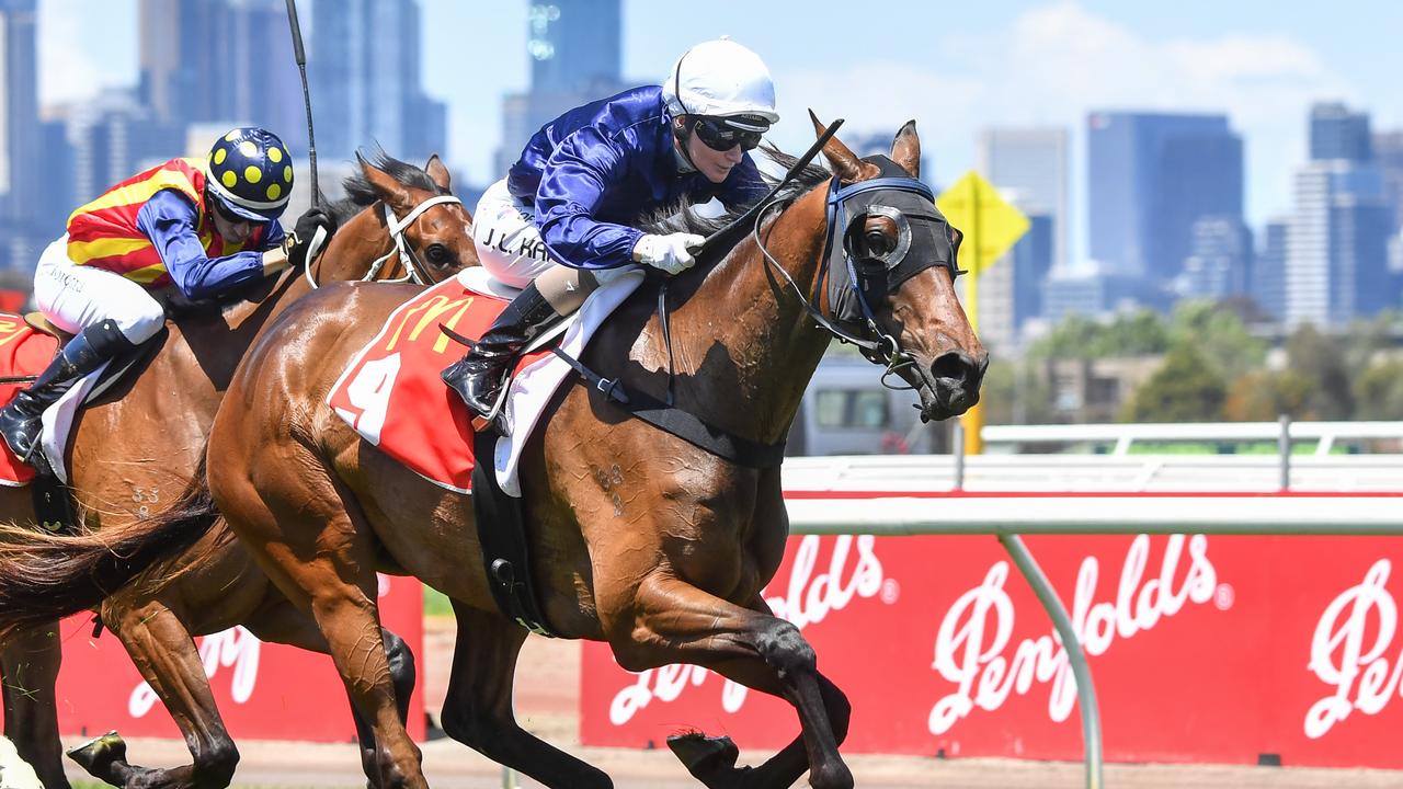 Meyer Map Races SA stayer The Map leaves connections with ‘terrific memories' following ...