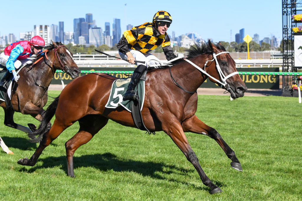 Newmarket Handicap 2026 Tips, Odds, Field & Results