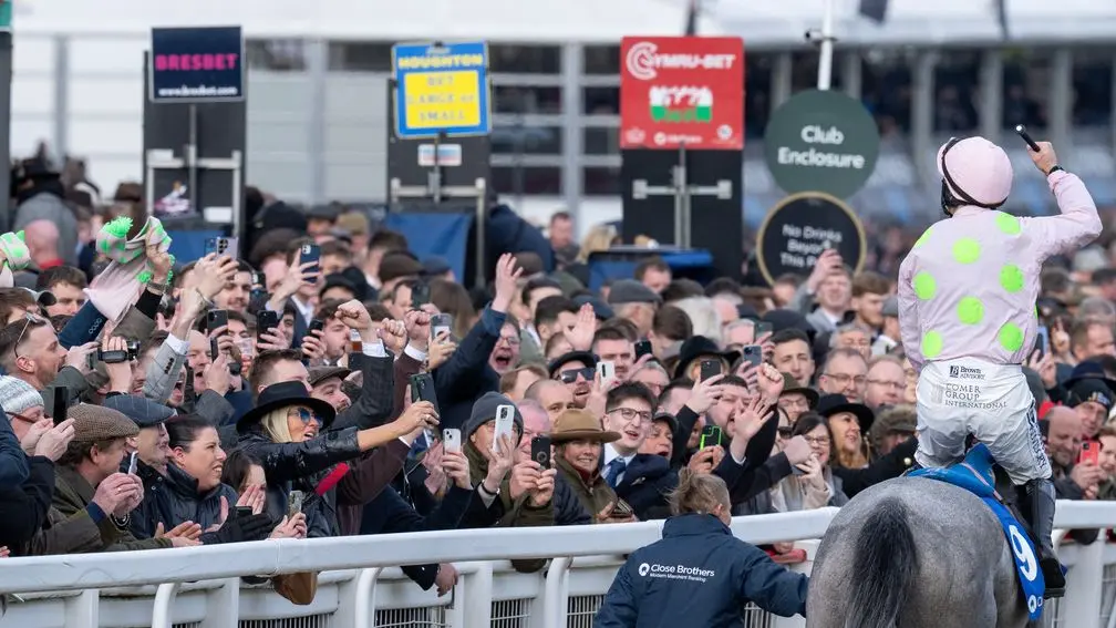 Cheltenham Festival 2026 (UK Racing) - Racenet