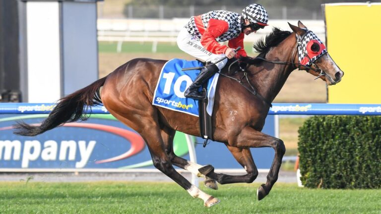 Sandown Cup 2025 Tips, Betting Results Racenet