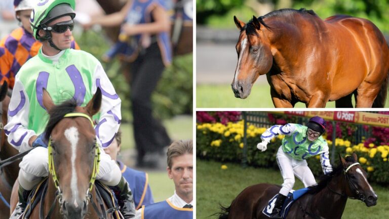 Super stallion Snitzel has died aged 23