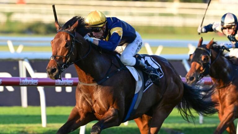 Stradbroke Handicap winner War Machine. Picture: Grant Peters/Trackside Photography.