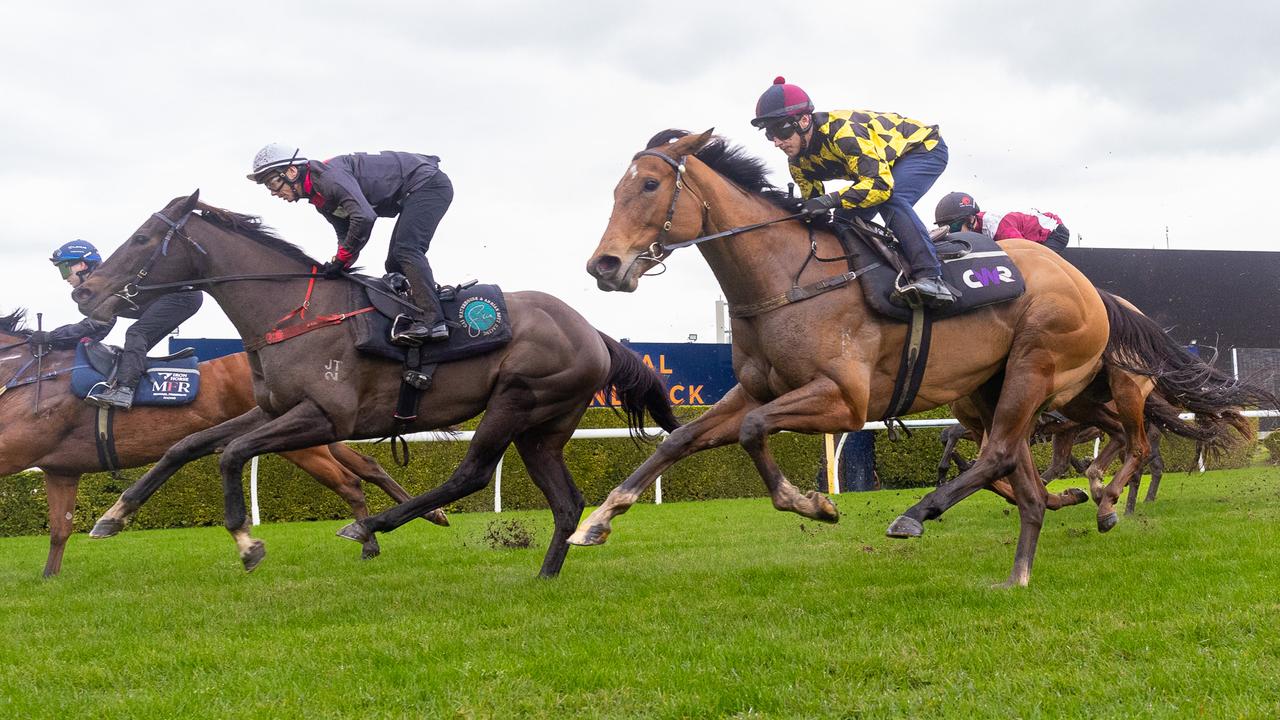 Madison skyy onlyfans leaked regular visitors, I would