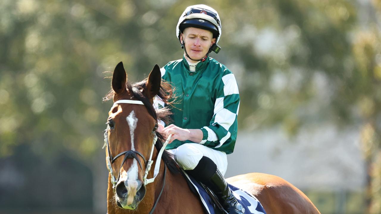 Sydeney sweeney tits SYDNEY Sweeney has stunned with an