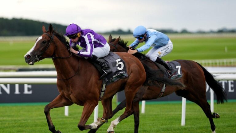 Ayol mushukining yaqindan olingan surati Ota va qizning haqiqiy uy qurilishi porno videosi